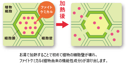 ファイトケミカルとは？